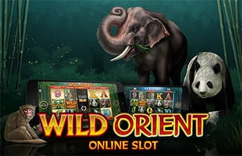 Wild Orient tragaperras