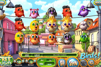Birds tragamonedas