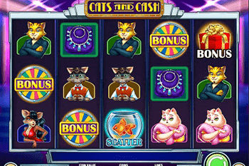 Cats and Cash tragamonedas