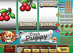 Cash Puppy