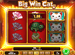Big Win Cat