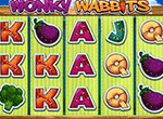 Wonky Wabbits